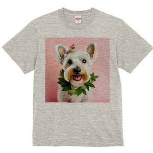 �E�G�X�g�n�C�����h�z���C�g�e���A T�V���c ���� ���j�[�N�f�U�C�����f�B�[�X ���t�@�� ���� �t�� �v�����g ��l�J�W���A�� ���킢�� �l�ԗp �M�t�g ���I �ҏ��΍� �� �E�G�X�g�n�C�����h