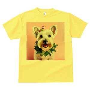 EGXgnChzCgeA TVc  j[NfUCY LbY t@  t vg lJWA 킢 lԗp Mtg I ҏ΍  EGXgnC