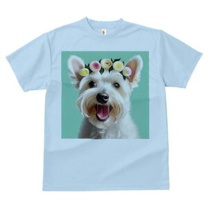 EGXgnChzCgeA TVc  j[NfUCfB[X t@  t vg lJWA 킢 lԗp Mtg I ҏ΍  EGXgnCh