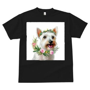 EGXgnChzCgeA TVc  j[NfUCfB[X t@  t vg lJWA 킢 lԗp Mtg I ҏ΍  EGXgnCh