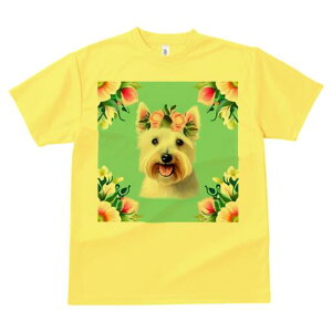 EGXgnChzCgeA TVc  j[NfUCfB[X t@  t vg lJWA 킢 lԗp Mtg I ҏ΍  EGXgnCh