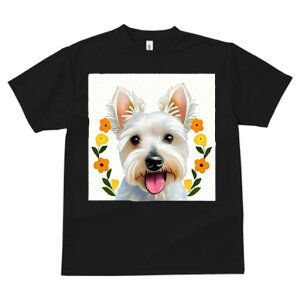 EGXgnChzCgeA TVc  j[NfUCfB[X t@  t vg lJWA 킢 lԗp Mtg I ҏ΍  EGXgnCh