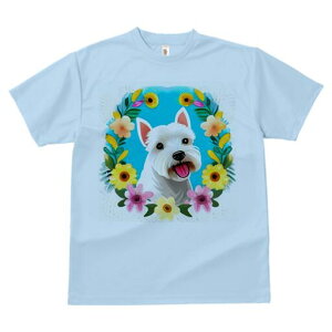 EGXgnChzCgeA TVc  j[NfUCfB[X t@  t vg lJWA 킢 lԗp Mtg I ҏ΍  EGXgnCh