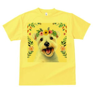 EGXgnChzCgeA TVc  j[NfUCfB[X t@  t vg lJWA 킢 lԗp Mtg I ҏ΍  EGXgnCh