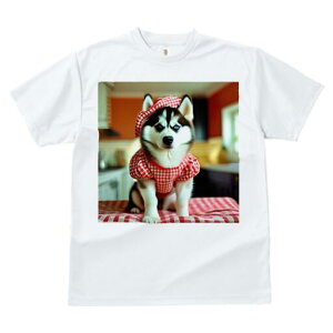 VxAnXL[ TVc  j[NfUCY LbY t@  t vg lJWA 킢 lԗp Mtg I ҏ΍ Gv VxAnXL[ `F