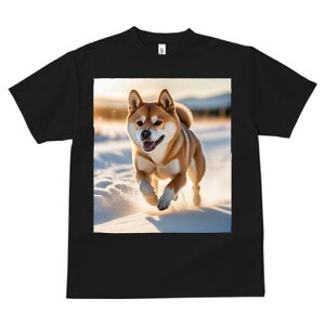 Č TVc  j[NfUCfB[X t@  t vg lJWA 킢 lԗp Mtg I ҏ΍  Č ~ 