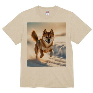 Č TVc  j[NfUCfB[X t@  t vg lJWA 킢 lԗp Mtg I ҏ΍  Č ~ z