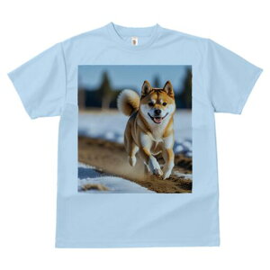 Č TVc  j[NfUCfB[X t@  t vg lJWA 킢 lԗp Mtg I ҏ΍  Č ~ 