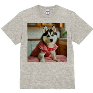 VxAnXL[ TVc  j[NfUCfB[X t@  t vg lJWA 킢 lԗp Mtg I ҏ΍ ԂƔ̃MK`FbN VxA