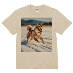 Č TVc  j[NfUCfB[X t@  t vg lJWA 킢 lԗp Mtg I ҏ΍  Č ~ AEghA i