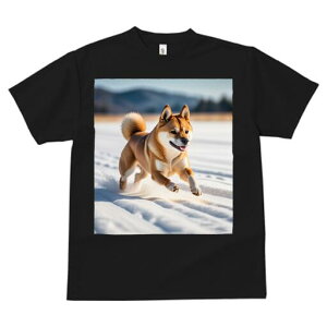 Č TVc  j[NfUCfB[X t@  t vg lJWA 킢 lԗp Mtg I ҏ΍  Č ~ AEghA i