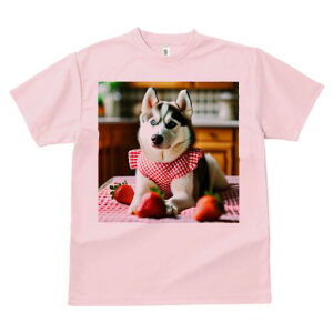 nXL[ TVc  j[NfUCY LbY t@  t vg lJWA 킢 lԗp Mtg I ҏ΍ C`S nXL[ MK