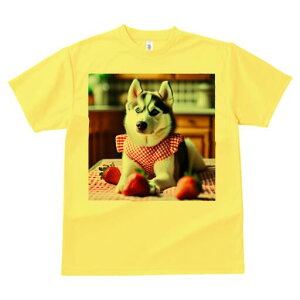 nXL[ TVc  j[NfUCfB[X t@  t vg lJWA 킢 lԗp Mtg I ҏ΍ C`S nXL[ MK