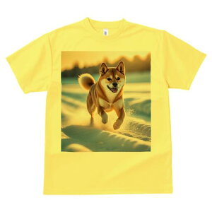 Č TVc  j[NfUCfB[X t@  t vg lJWA 킢 lԗp Mtg I ҏ΍  Č ~ z 