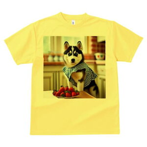 VxAnXL[ TVc  j[NfUCfB[X t@  t vg lJWA 킢 lԗp Mtg I ҏ΍ C`S VxAnXL[ Lb`