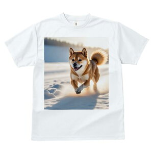 Č TVc  j[NfUCfB[X t@  t vg lJWA 킢 lԗp Mtg I ҏ΍  Č ~ z