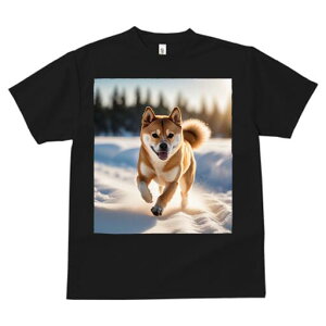 Č TVc  j[NfUCfB[X t@  t vg lJWA 킢 lԗp Mtg I ҏ΍  Č ~ z