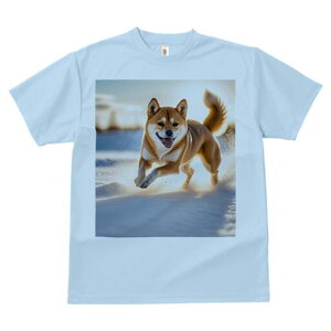 Č TVc  j[NfUCfB[X t@  t vg lJWA 킢 lԗp Mtg I ҏ΍  Č ~ z