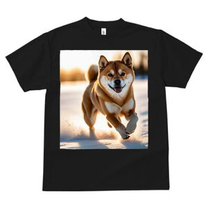 Č TVc  j[NfUCfB[X t@  t vg lJWA 킢 lԗp Mtg I ҏ΍  Č ~ z