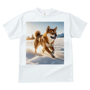 Č TVc  j[NfUCfB[X t@  t vg lJWA 킢 lԗp Mtg I ҏ΍  Č ~ z 