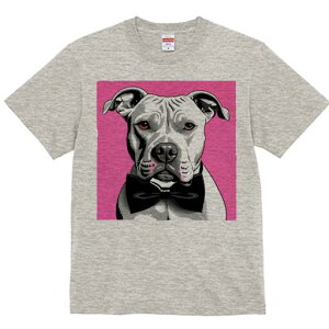 AJsbgueA TVc  j[NfUCfB[X t@  t vg lJWA 킢 lԗp Mtg I ҏ΍ lN^C AJsbg