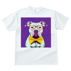 AJsbgueA TVc  j[NfUCfB[X t@  t vg lJWA 킢 lԗp Mtg I ҏ΍ Kl AJsbgu