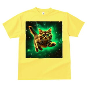 TVc  j[NfUCfB[X t@  t vg lJWA 킢 lԗp Mtg I ҏ΍ F L Xy[XLbg 