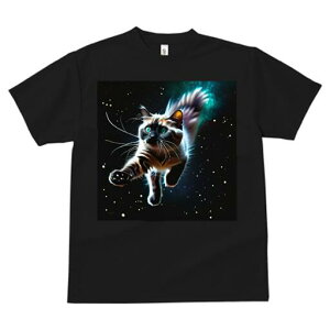 TVc  j[NfUCfB[X t@  t vg lJWA 킢 lԗp Mtg I ҏ΍ F  L Xy[XLbg t@^W[