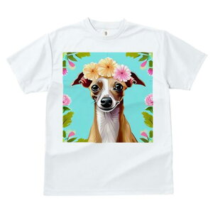 C^AO[nEh TVc  j[NfUCfB[X t@  t vg lJWA 킢 lԗp Mtg I ҏ΍  C^AO[nEh 