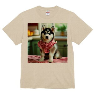 nXL[ TVc  j[NfUCfB[X t@  t vg lJWA 킢 lԗp Mtg I ҏ΍ nXL[