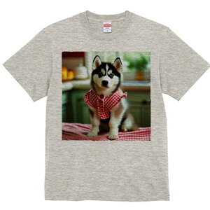 nXL[ TVc  j[NfUCfB[X t@  t vg lJWA 킢 lԗp Mtg I ҏ΍ nXL[