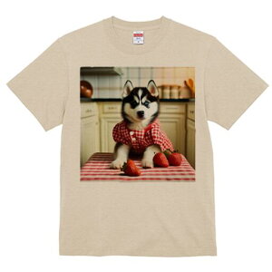 VxAnXL[ TVc  j[NfUCfB[X t@  t vg lJWA 킢 lԗp Mtg I ҏ΍ C`S VxAnXL[ MK