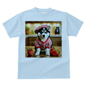 nXL[ TVc  j[NfUCfB[X t@  t vg lJWA 킢 lԗp Mtg I ҏ΍ C`S nXL[ Xq `FbN Vc