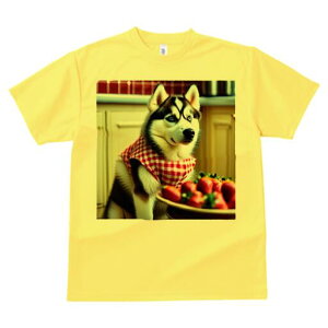 VxAnXL[ TVc  j[NfUCfB[X t@  t vg lJWA 킢 lԗp Mtg I ҏ΍ C`S VxAnXL[ MK