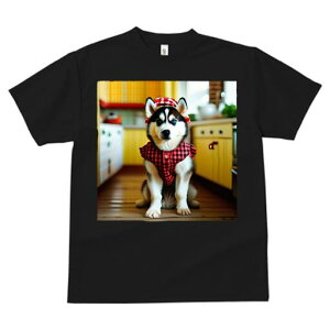 nXL[ TVc  j[NfUCfB[X t@  t vg lJWA 킢 lԗp Mtg I ҏ΍ Lb` nXL[