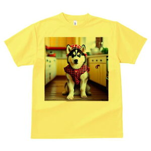 nXL[ TVc  j[NfUCfB[X t@  t vg lJWA 킢 lԗp Mtg I ҏ΍ Lb` nXL[