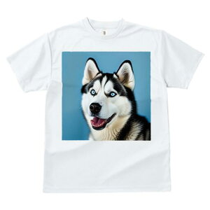 VxAnXL[ TVc  j[NfUCfB[X t@  t vg lJWA 킢 lԗp Mtg I ҏ΍ VxAnXL[