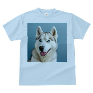 VxAnXL[ TVc  j[NfUCfB[X t@  t vg lJWA 킢 lԗp Mtg I ҏ΍ VxAnXL[