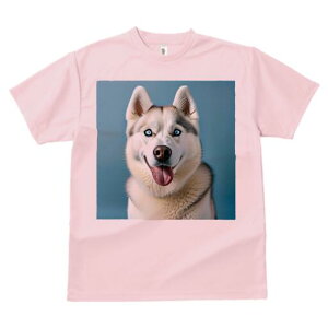 VxAnXL[ TVc  j[NfUCfB[X t@  t vg lJWA 킢 lԗp Mtg I ҏ΍ VxAnXL[