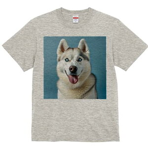 VxAnXL[ TVc  j[NfUCfB[X t@  t vg lJWA 킢 lԗp Mtg I ҏ΍ VxAnXL[