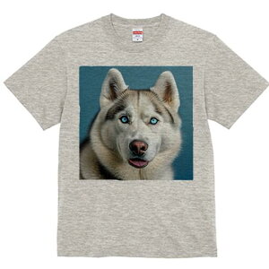 VxAnXL[ TVc  j[NfUCfB[X t@  t vg lJWA 킢 lԗp Mtg I ҏ΍ VxAnXL[