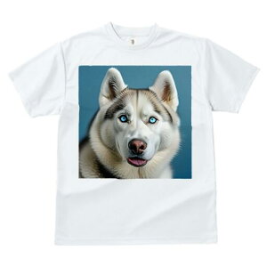 VxAnXL[ TVc  j[NfUCfB[X t@  t vg lJWA 킢 lԗp Mtg I ҏ΍ VxAnXL[