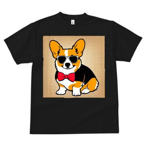 R[M[ TVc  j[NfUCfB[X t@  t vg lJWA 킢 lԗp Mtg I ҏ΍ TOX R[M[ lN^C