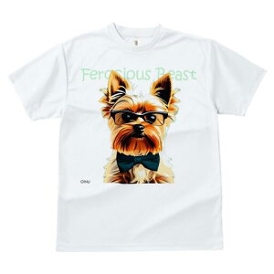 [NV[eA TVc  j[NfUCfB[X t@  t vg lJWA 킢 lԗp Mtg I ҏ΍ Kl [NV[eA lN^