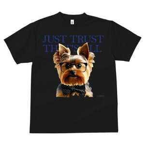 [NV[eA TVc  j[NfUCfB[X t@  t vg lJWA 킢 lԗp Mtg I ҏ΍ Kl [NV[eA lN^