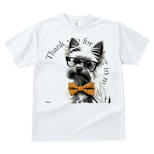 [NV[eA TVc  j[NfUCfB[X t@  t vg lJWA 킢 lԗp Mtg I ҏ΍ Kl [NV[eA lN^