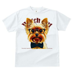 [NV[eA TVc  j[NfUCfB[X t@  t vg lJWA 킢 lԗp Mtg I ҏ΍ Kl [NV[eA lN^