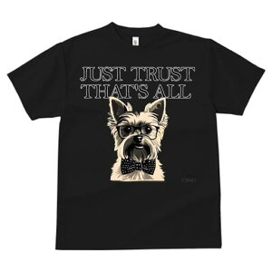 [NV[eA TVc  j[NfUCfB[X t@  t vg lJWA 킢 lԗp Mtg I ҏ΍ Kl [NV[eA lN^