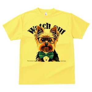 [NV[eA TVc  j[NfUCY LbY t@  t vg lJWA 킢 lԗp Mtg I ҏ΍ Kl [NV[eA lN