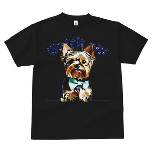 [NV[eA TVc  j[NfUCY LbY t@  t vg lJWA 킢 lԗp Mtg I ҏ΍ Kl [NV[eA lN